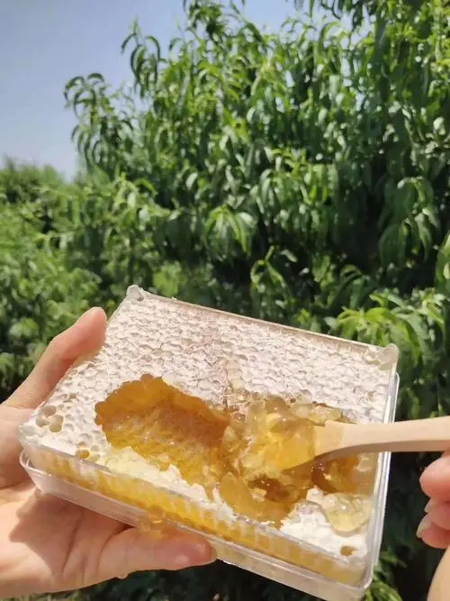 銀川綠洲純天然蜂蜜